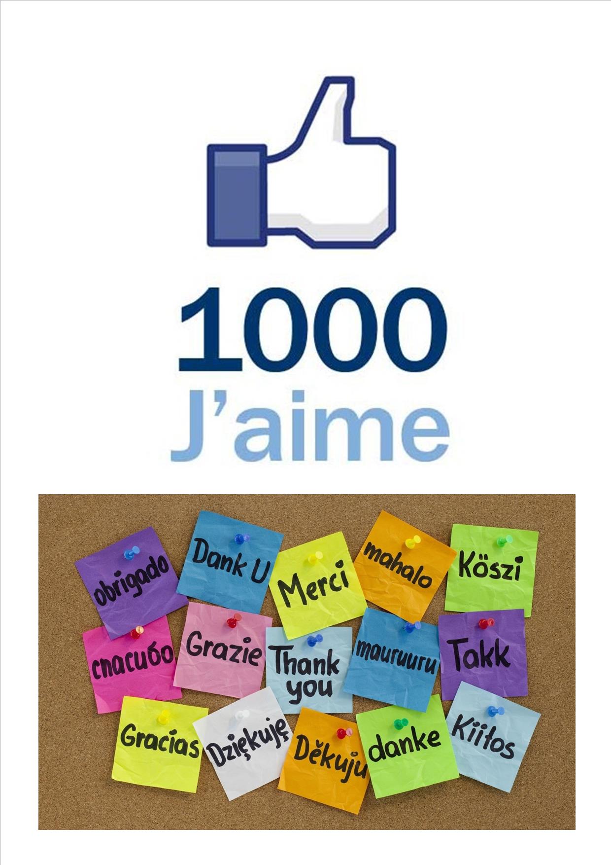 1000 fans ballons