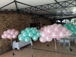 Vignette de Lâcher de ballons biodégradables en Bretagne