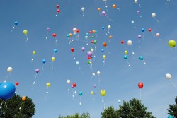 Vignette de Questions liées aux lâchers de ballons